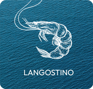 Langostino