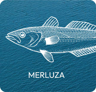 Merluza