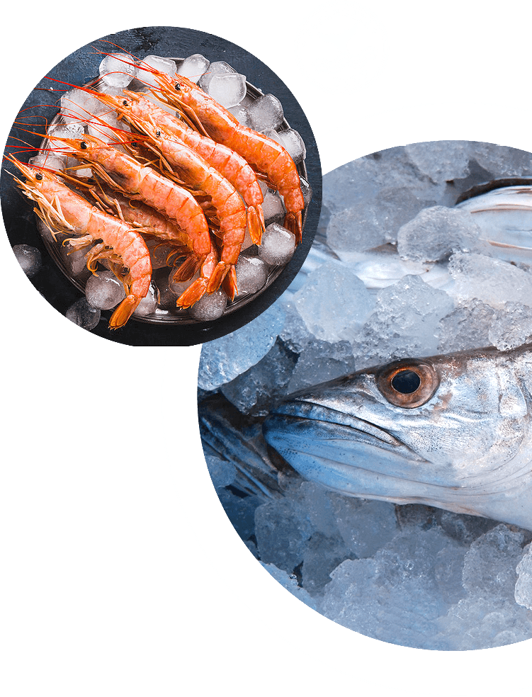 Langostinos y Merluza