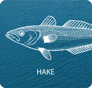 Hake